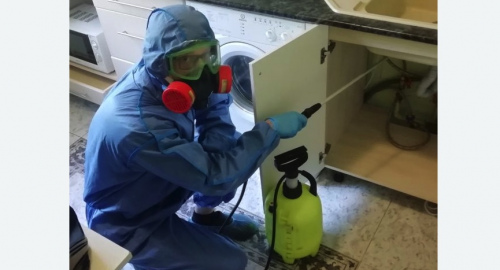Уничтожение муравьев в квартире. Лаишево