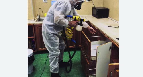 Дезинсекция квартиры. Лаишево