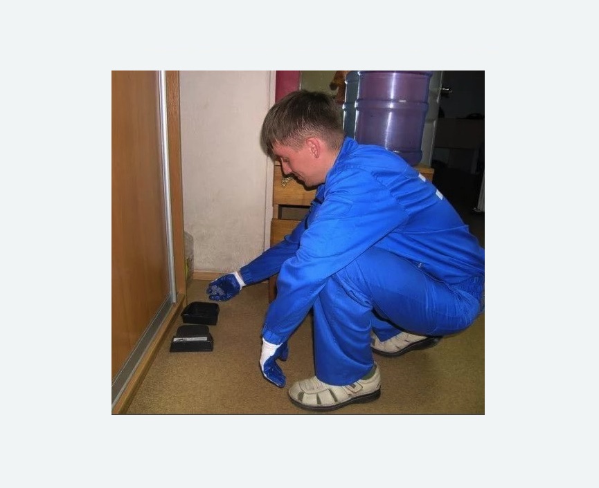 Дератизация крыс в Лаишево