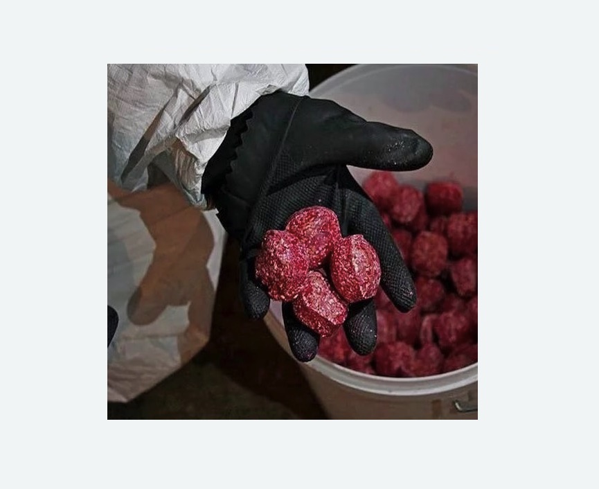 Обработка от крыс в Лаишево