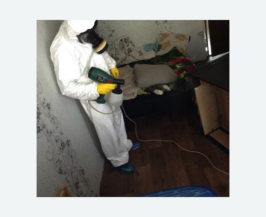 Обработка от насекомых в Лаишево Обработка квартиры от насекомых