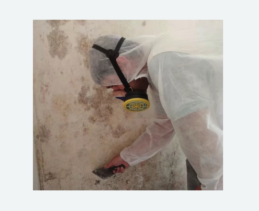 Обработка стен от плесени в Лаишево
