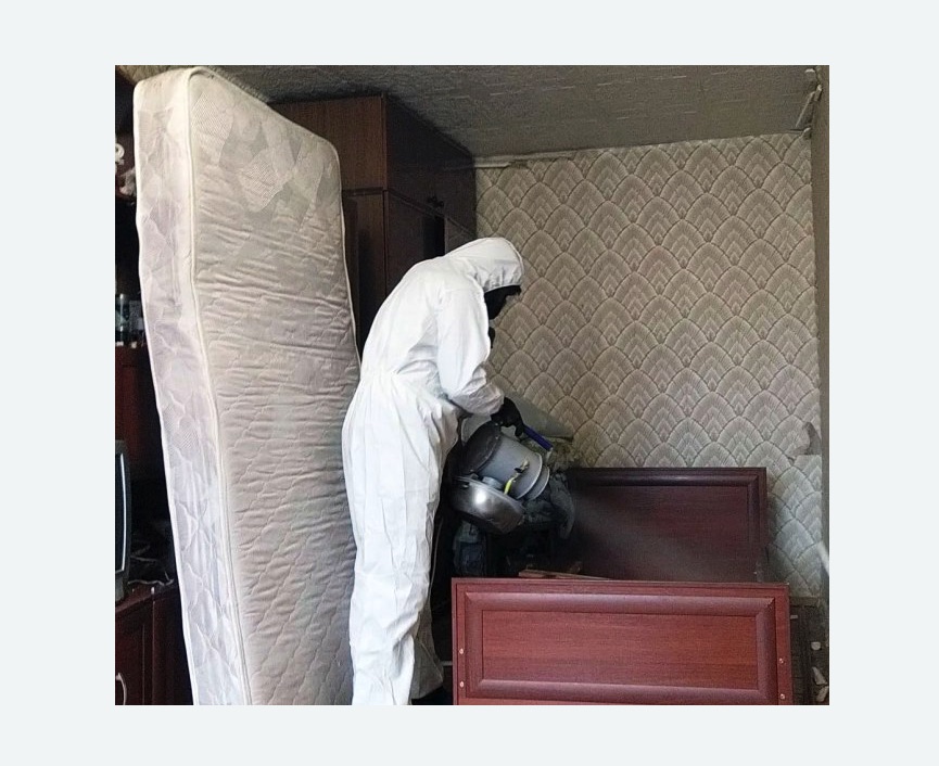 дезинфекция от клопов в Лаишево