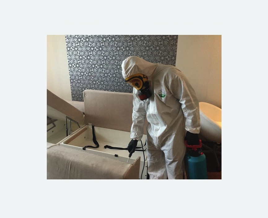 уничтожение клопов в квартире в Лаишево